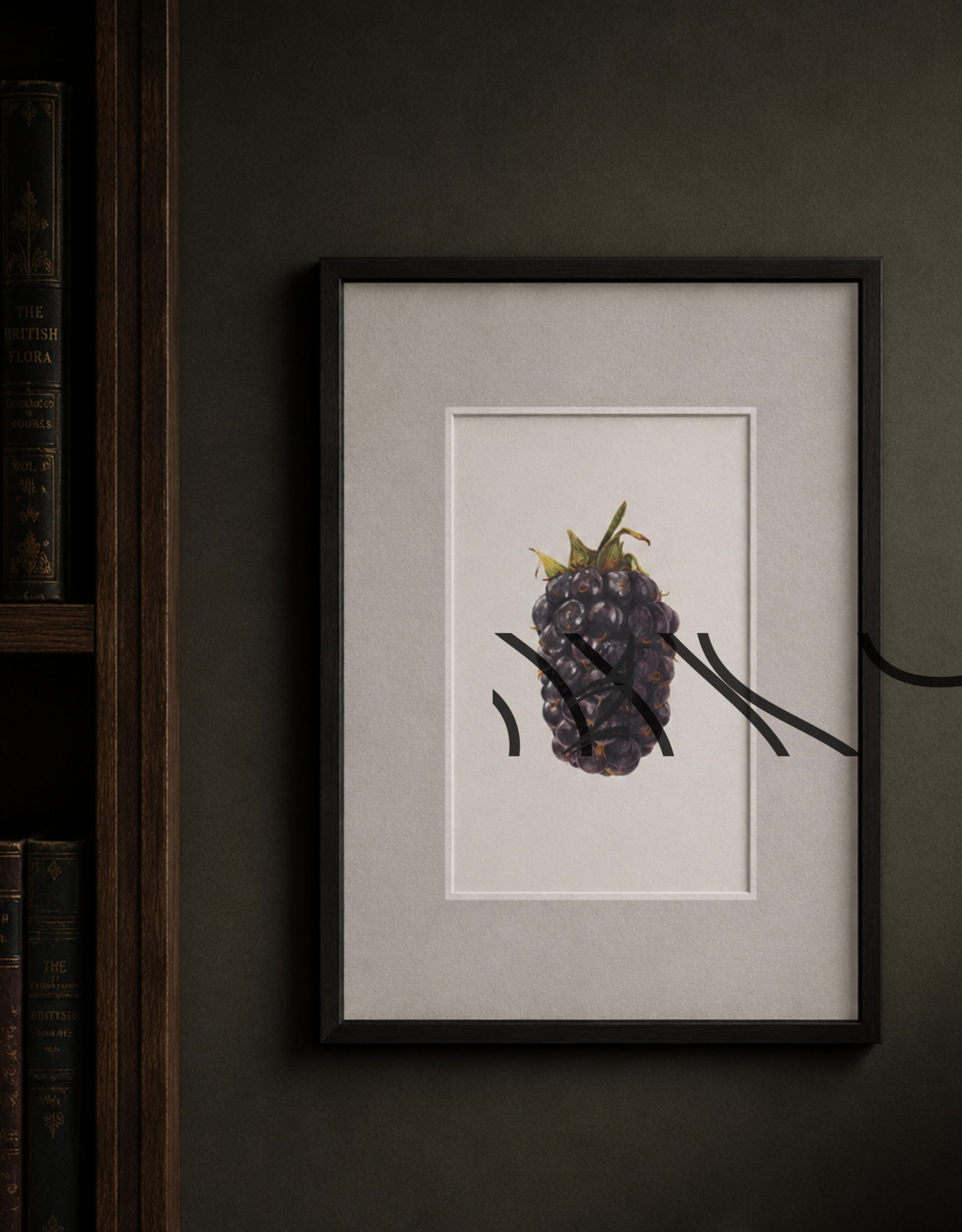 Rubus fruticosus coll. in situ